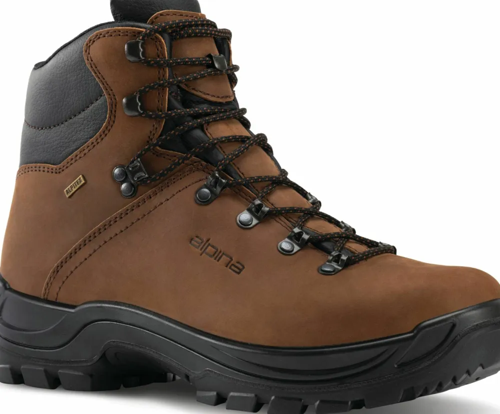 Alpina Unisex Tundra Brown Best
