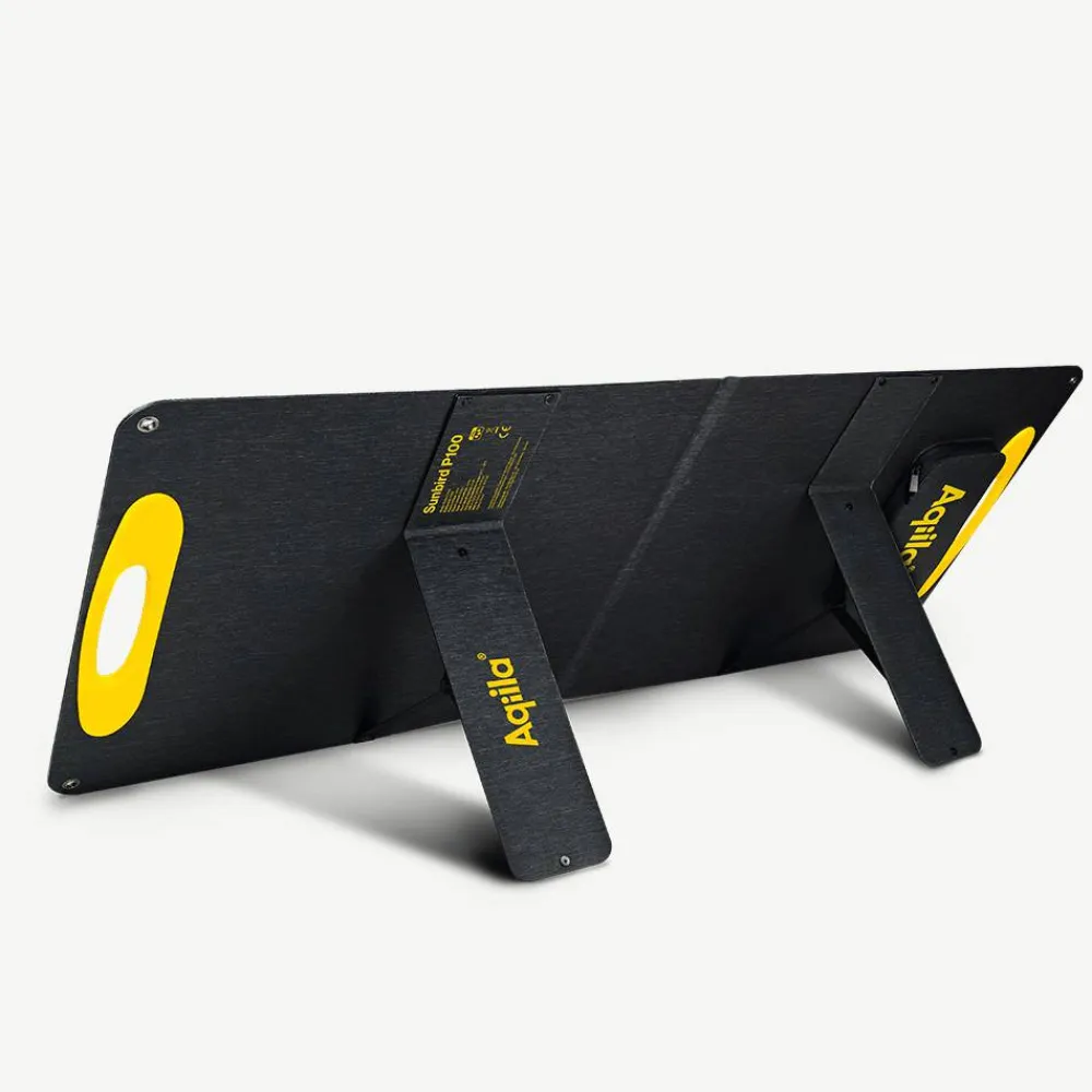 Best Sunbird P100 Black Elektronik