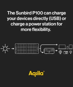 Best Sunbird P100 Black Elektronik
