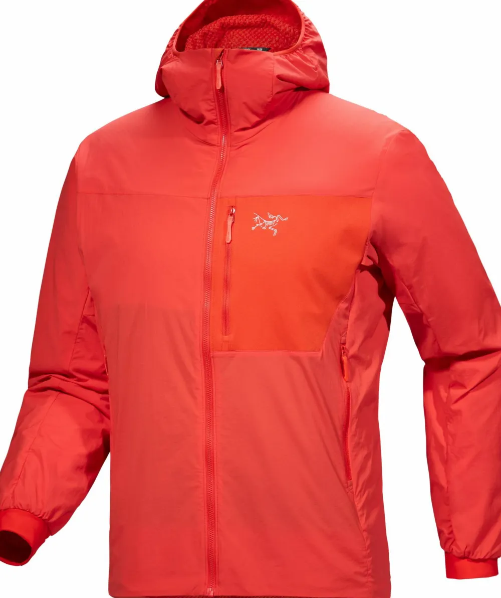 Arc'teryx Men's Proton SL Hoody Dynasty