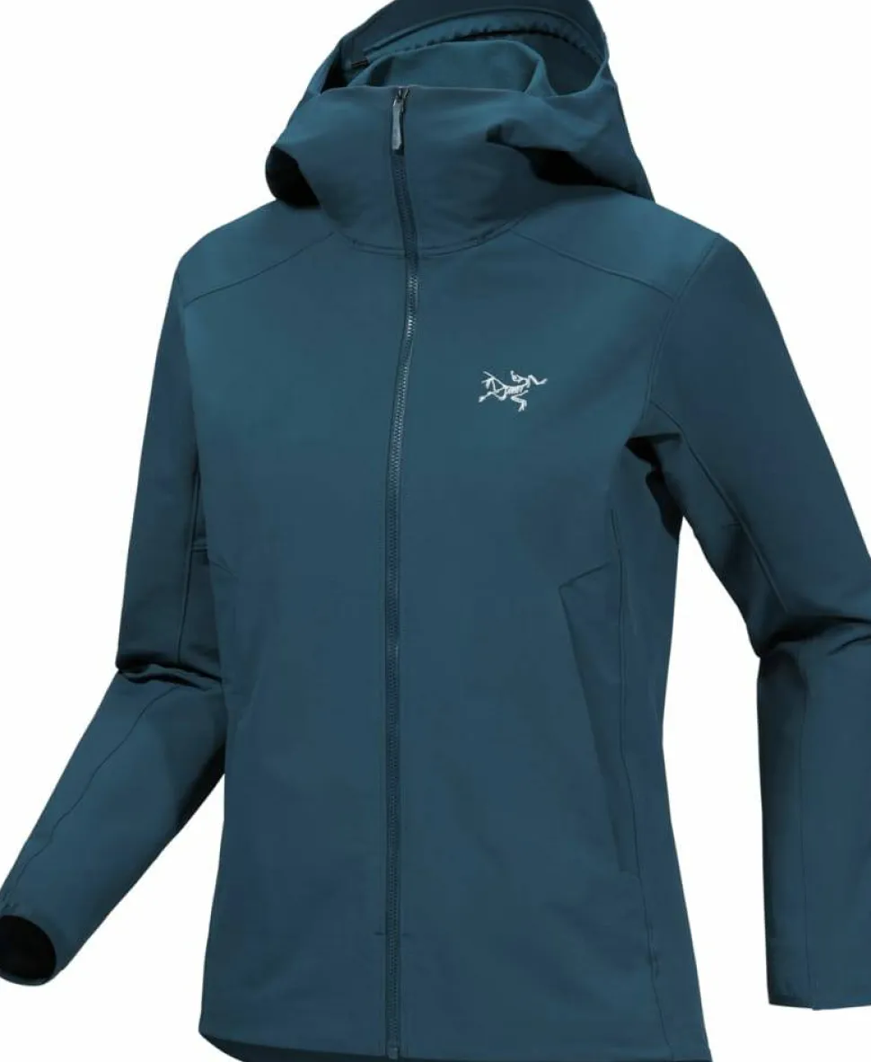 Arc'teryx Women's Gamma Hoody Nightscape