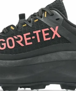 Asics Women's Fujisetsu Max GORE-TEX Black/Dark Pink Clay