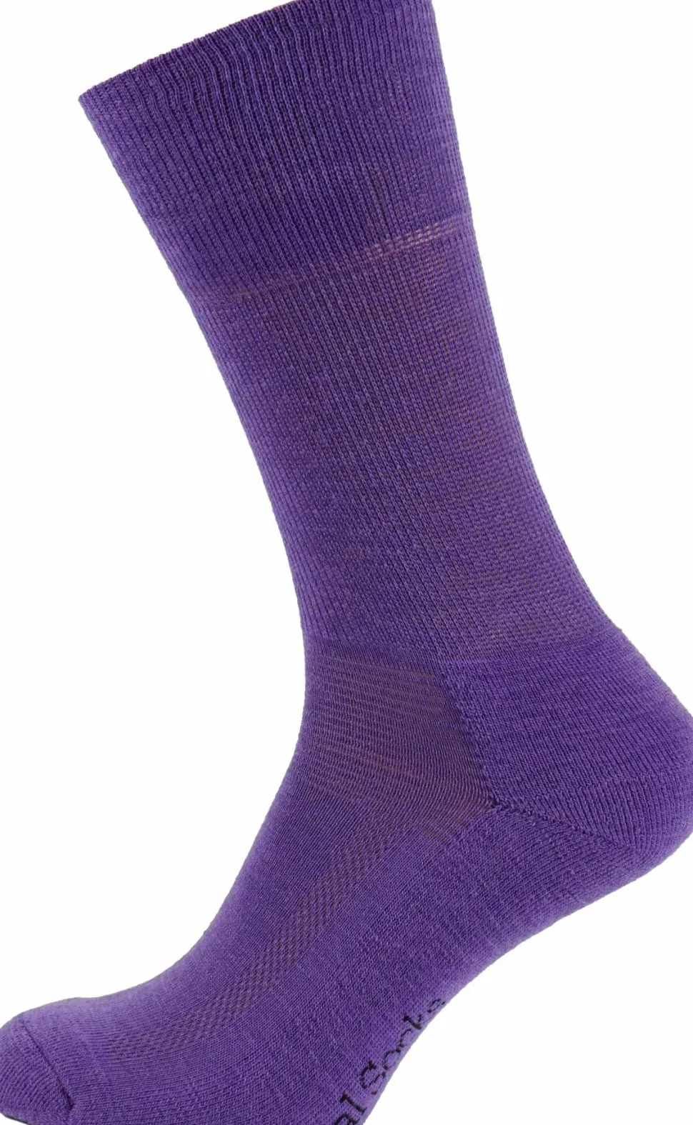 Avignon Real Socks Terry Basic Purple