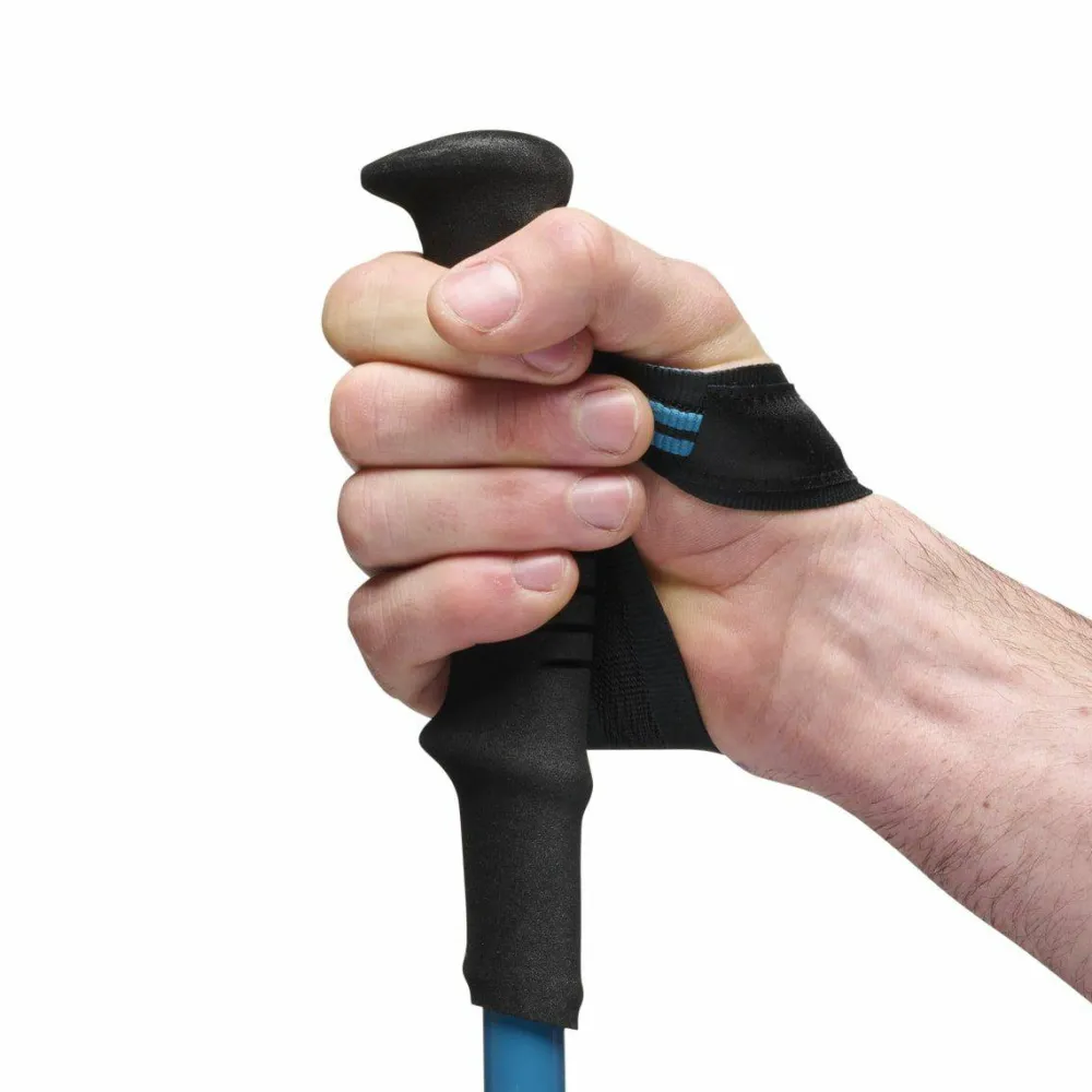 Black Diamond Distance Carbon FLZ Poles Desert Sky Discount