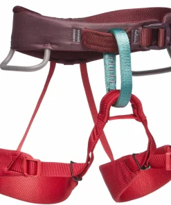 Black Diamond Kids' Momentum Harness Wild Rose