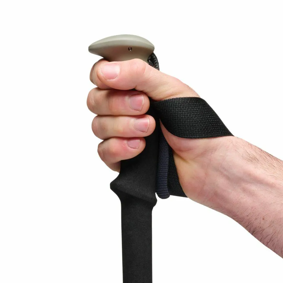 Black Diamond Trail Trekking Poles Pine Smoke