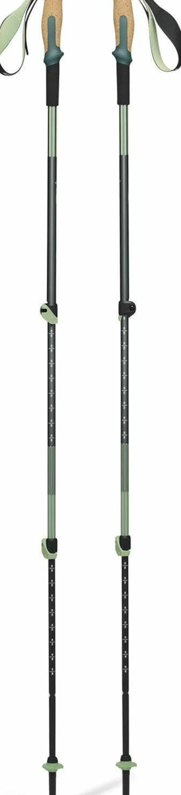 Black Diamond Trail Vista Shock Trek Poles Deep Woods