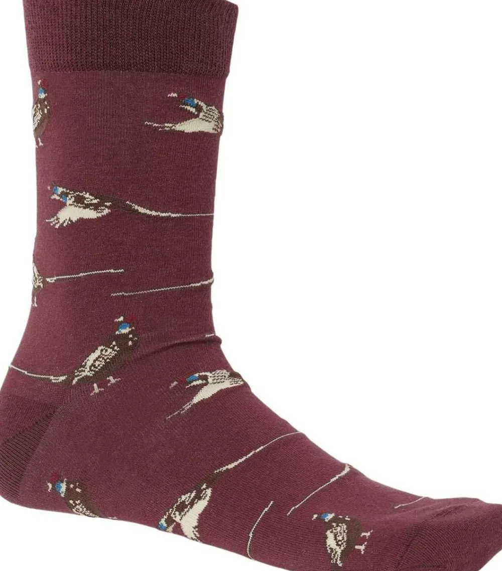 Outlet Pomeroy Sock Herrstrumpor