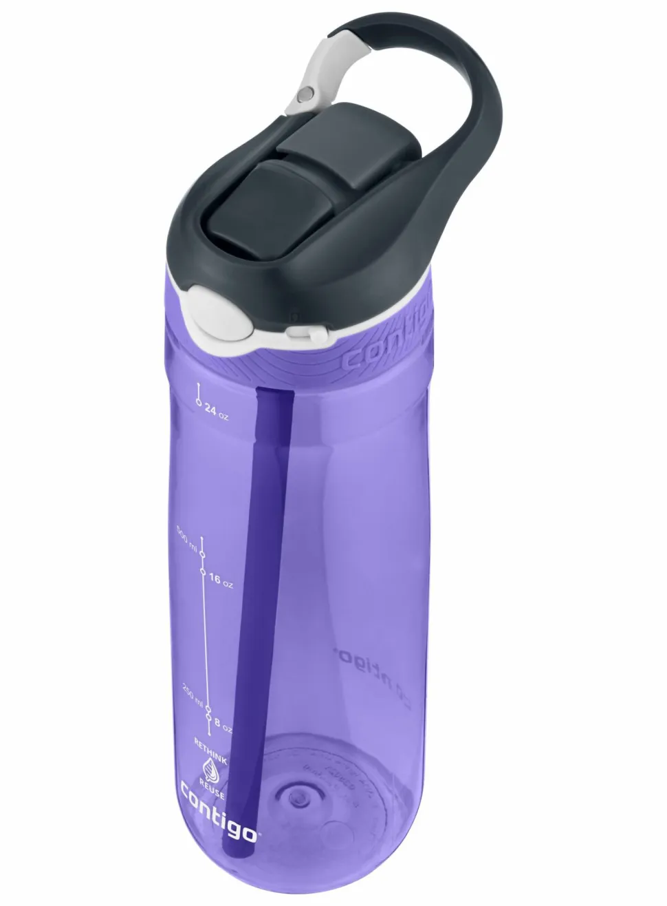 Contigo Ashland Water Bottle Grapevine