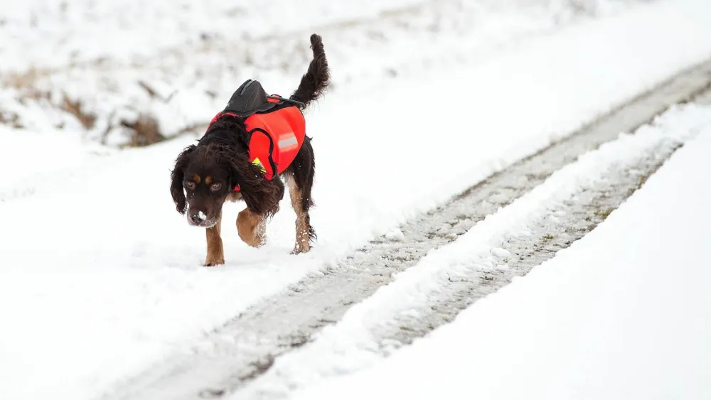 Dogtech GPS Vest Hivis Red Outlet