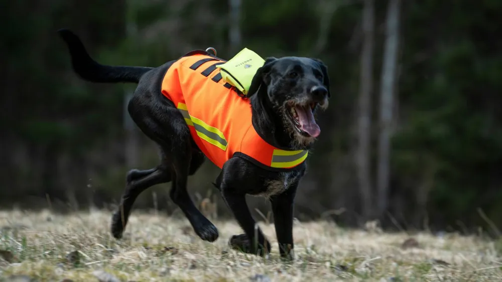 Dogtech HiVis - High Visibility Vest Hivis Red New