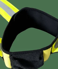 Reflex GPS Hund