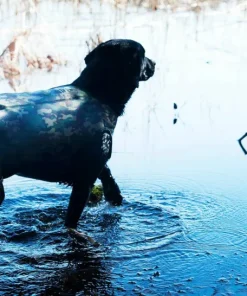 Dogtech Retriever Camo