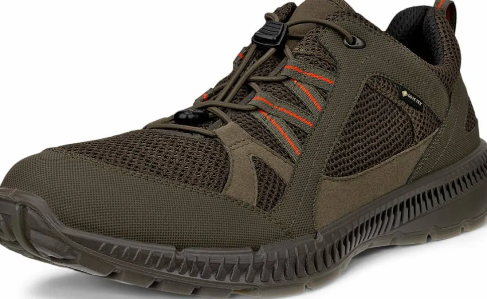 Ecco Men's Ecco Terracruise II Gore-Tex Tarmac/tarmac