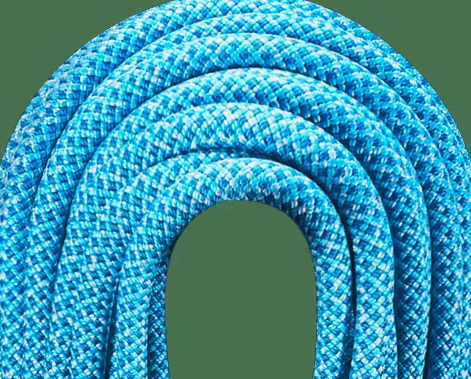 Edelrid Heron Eco Dry 9,8 mm 60 m Icemint