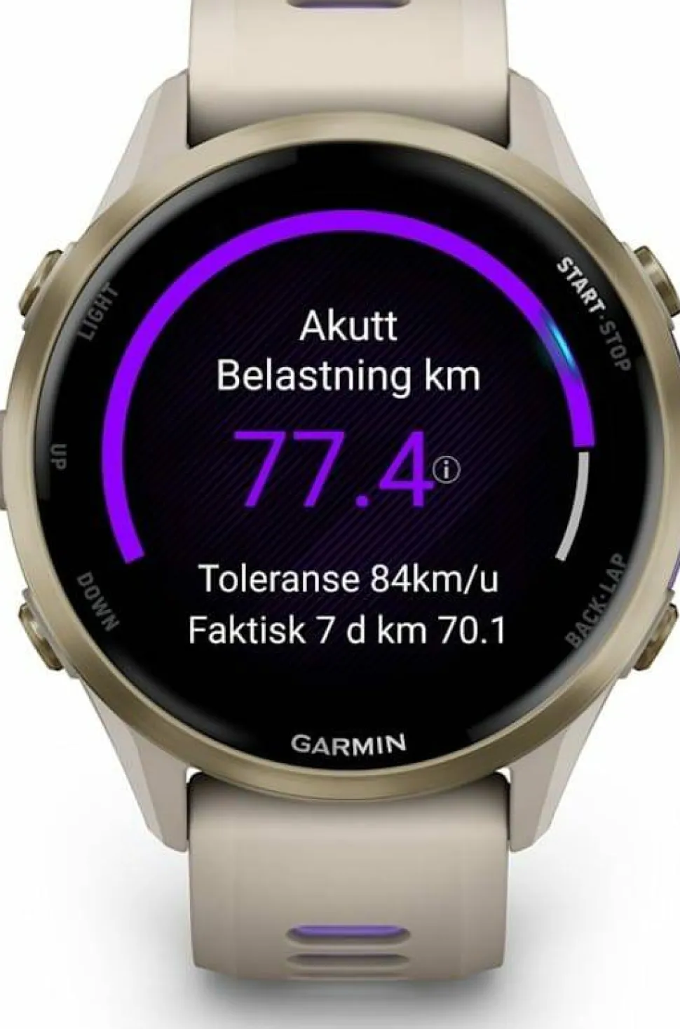 Garmin Forerunner 970 French Gray/indigo