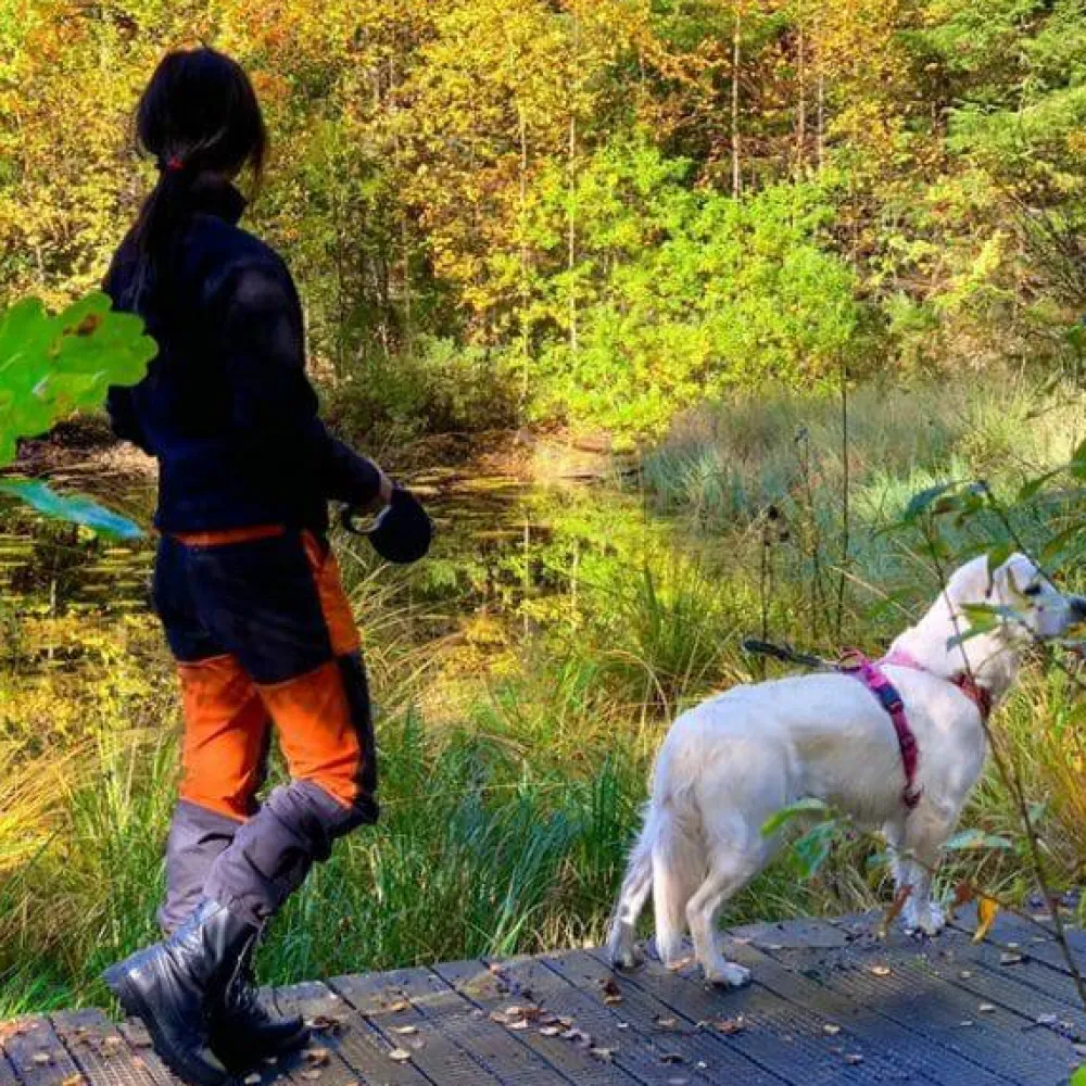 Unisex Fjäll Unlined Vandringsskor & Vandringskängor Herr|Vandringsskor & Vandringskängor Dam
