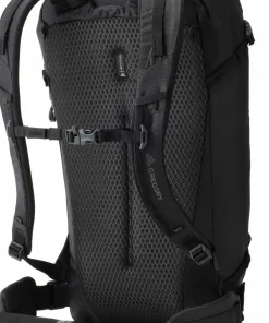 Gregory Alpinisto 30 M/L Summit Black