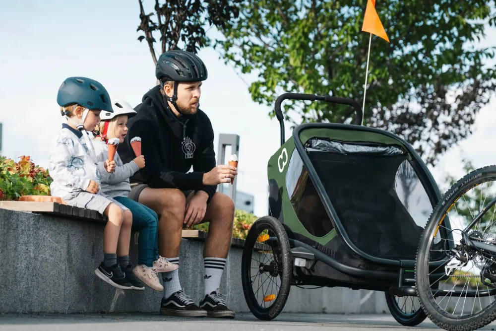 Hamax Outback (+ Bicycle Arm & Stroller Wheel) Green/black Outlet