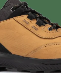 Men's Fortavo Low SF Extra GORE-TEX Vandring