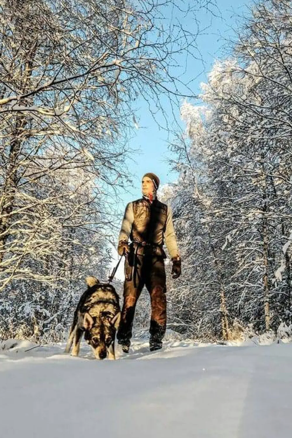 Heat Experience Men's Heated Hunt Vest Olive Green Best