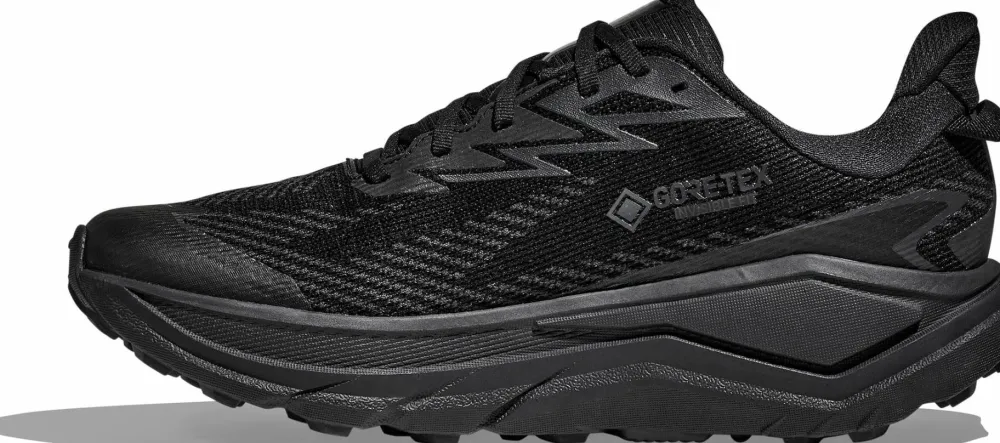 Clearance Men's Challenger 8 GORE-TEX Löparskor Herr|Gore-Tex