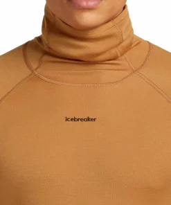 Icebreaker Men's Merino 300 Merinofine™ Polar Long Sleeve Roll Neck Trail