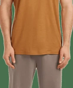 Icebreaker Men's Merino 150 Tech Lite Ss Tee Evolving Layers Trail Clearance