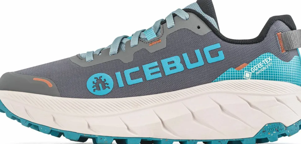 Icebug Men's Arcus 2 RB9X Gore-Tex Mistblue