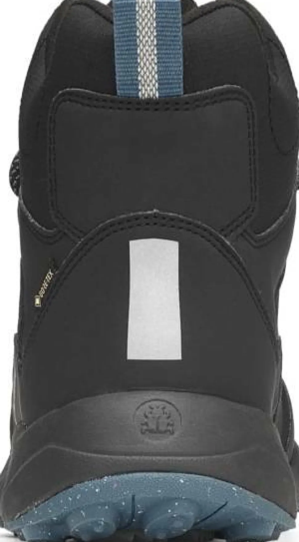 Icebug Men's Pace 3 BUGrip GORE-TEX Black/Petroleum