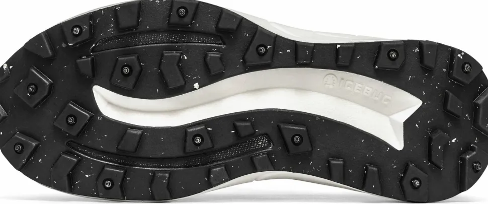 Icebug Women's Arcus 2 BUGrip GORE-TEX Grey