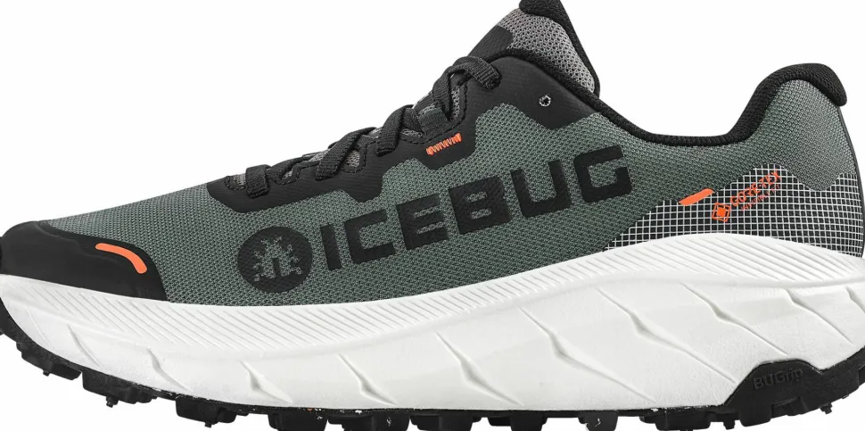 Icebug Women's Arcus 2 BUGrip GORE-TEX Grey