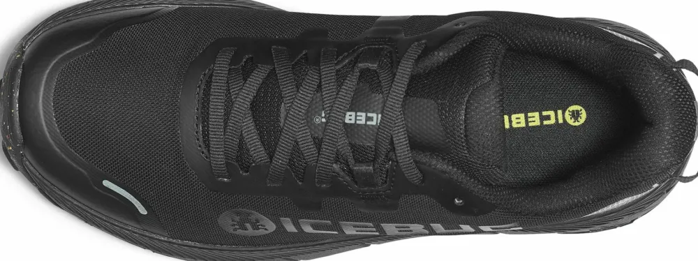 Icebug Women's Arcus 2 RB9X Gore-Tex Trueblack Online