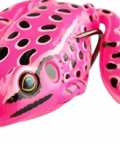 iFish Frog Pink Outlet