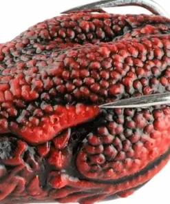 iFish Froggy Red Discount