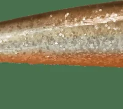 iFish The Demon Shad 15 cm Silver Sally