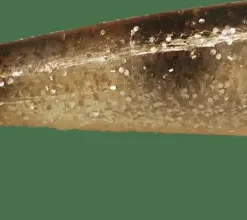 iFish The Demon Shad 21 cm Spotted Dirt Roach