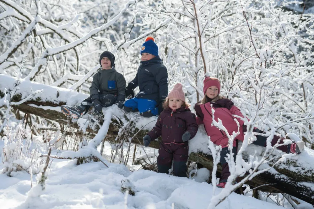 Kids' Gleely 2-Layer Insulated Print Jacket Barn Barnjackor & Västar