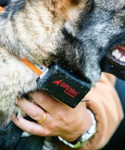 Lafayette GPS Mini Black