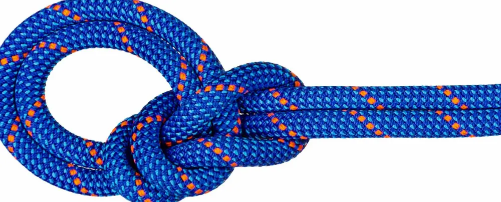 Mammut 9.5 Crag Dry Rope 70m Blue-Ocean Online