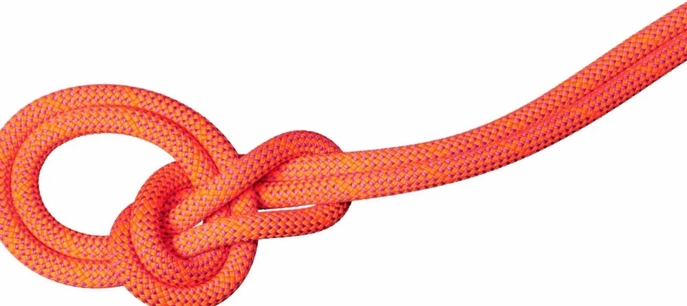 Mammut 9.8 Crag Dry Rope 60m Vibrant Orange-Lavandin Discount