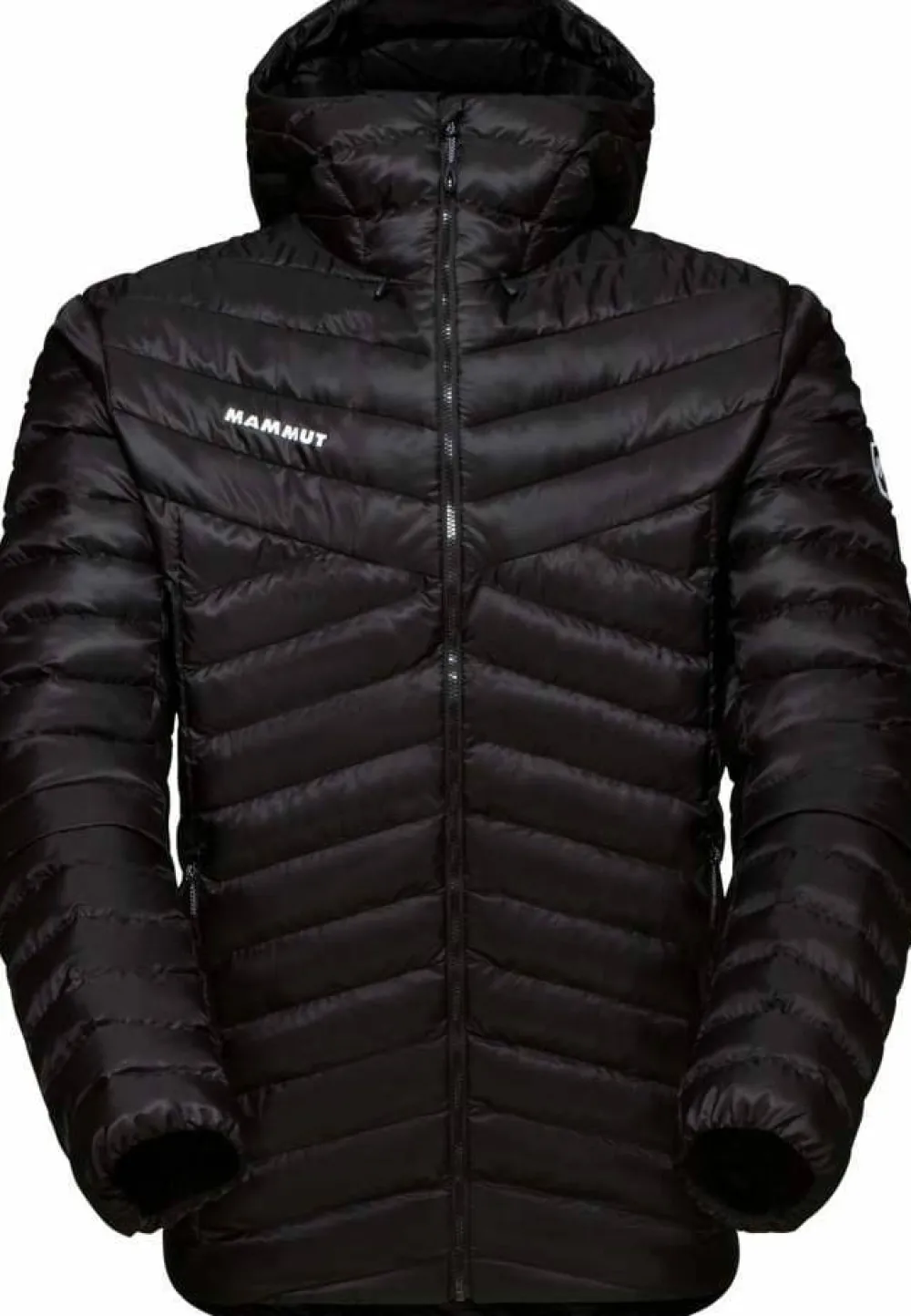 Mammut Men's Albula In Hooded Jacket Black
