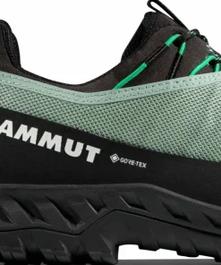 Best Men's Alnasca Iv Low Gtx Gore-Tex Herrskor
