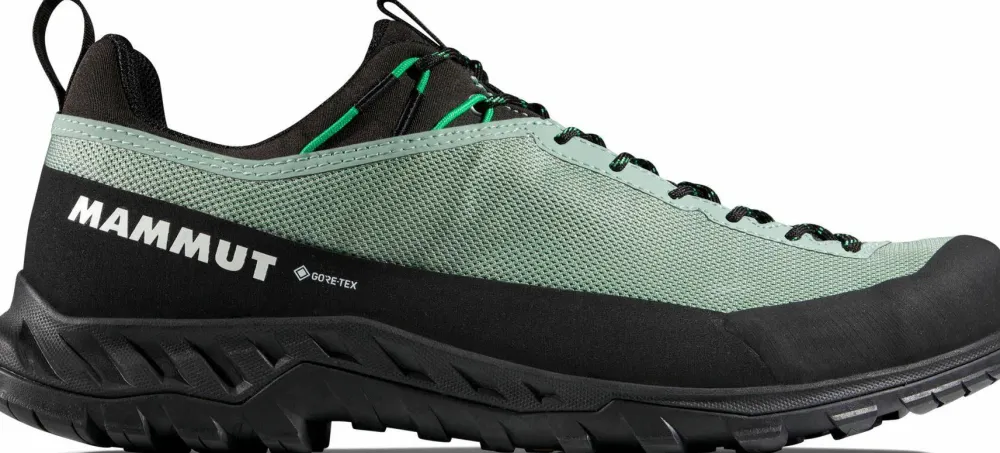 Best Men's Alnasca Iv Low Gtx Gore-Tex Herrskor