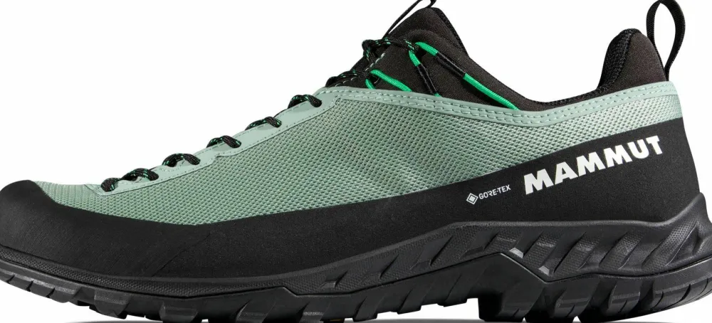 Best Men's Alnasca Iv Low Gtx Gore-Tex Herrskor