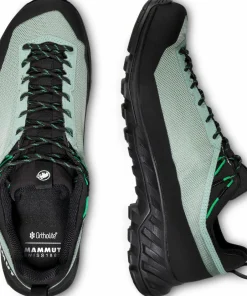Mammut Men's Alnasca Iv Low Gtx Deep Silver Sage-Pinea Hot