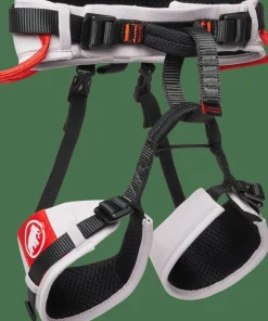 Mammut Ophir Kids 2.0 Harness Alpine Calamint- Red Alpine Calamint-Mammut Red