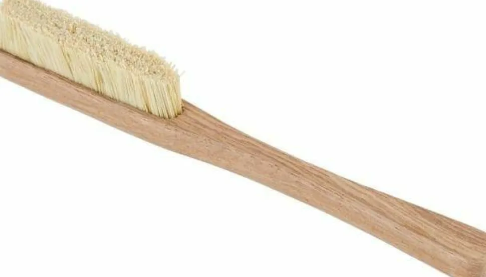 Moon Climbing Moon Voyager Brush Wood