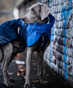 Clearance Fjord Raincoat - Small Sizes /Black Hund