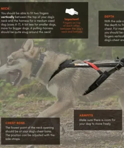 Best Freemotion Harness 5.0 Size 5 Skidor|Cykel